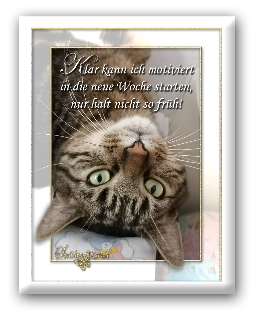 Seelchen Karten und Collagen : Karte Guten Start in die neue Woche Seelchen Karten und Collagen : Karte Guten Start in die neue Woche