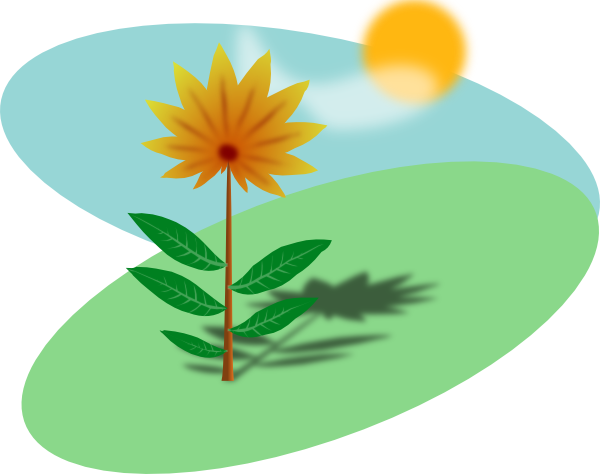 Science Plants Need Air science-plants-need-air