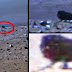 Four-Legged Creature Spotted On Mars by NASA’s Rover  
