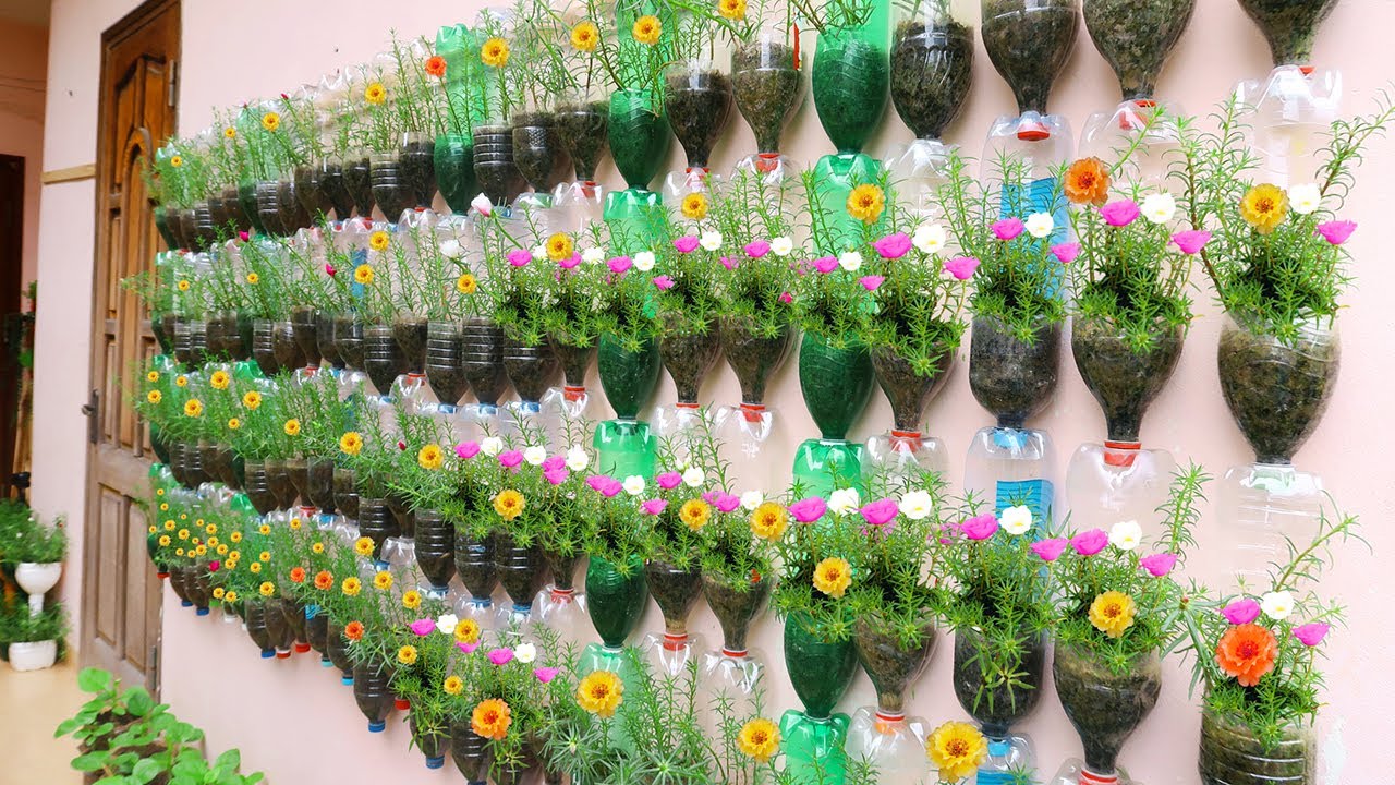 Amazing Vertical Garden Using Plastic Bottles crazzy crafting