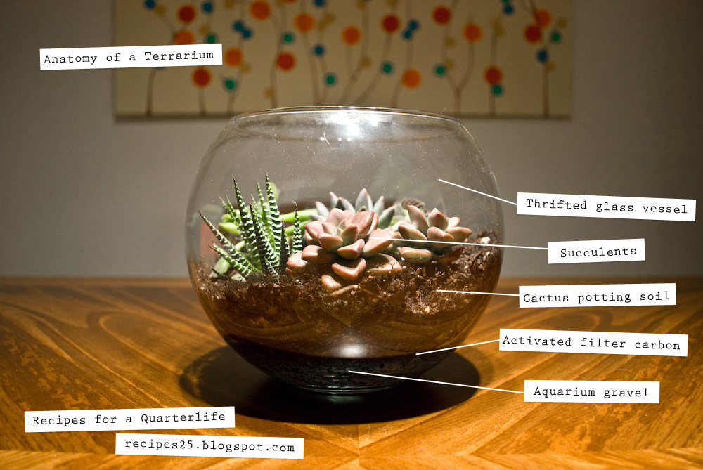 Recipes for a Quarterlife Totally Tubular Terrarium Tutorial