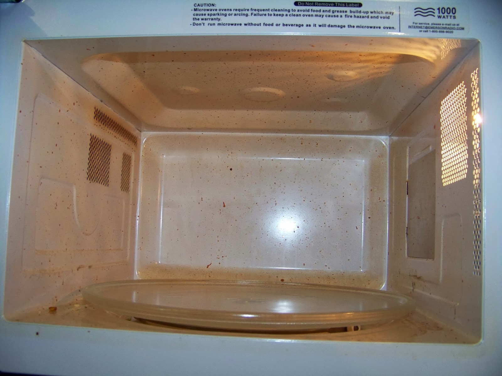 The Ferrell Boys and Me . . . Easy HowTo Clean Your Microwave