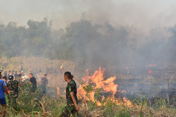 Yonarmed 12/Divif 2 Berjibaku Padamkan Kebakaran Lahan Warga Yonarmed 12/Divif 2 Berjibaku Padamkan Kebakaran Lahan Warga