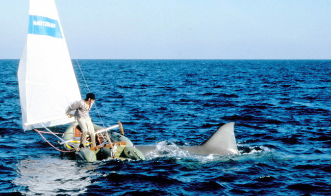 Movie Review: Jaws 2 (1978) | The Ace Black Movie Blog