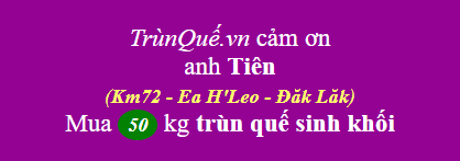 Trùn quế huyện Ea Hleo, DakLak