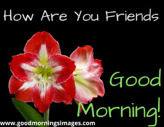 Good Morning Shayari With Images Good Morning Shayari With Images