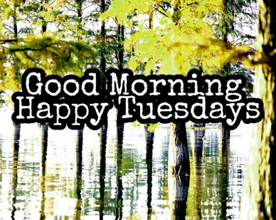 happy tuesday good moring