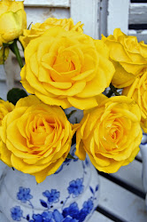 yellow roses painting cottage vase together bouquet put painted garden way