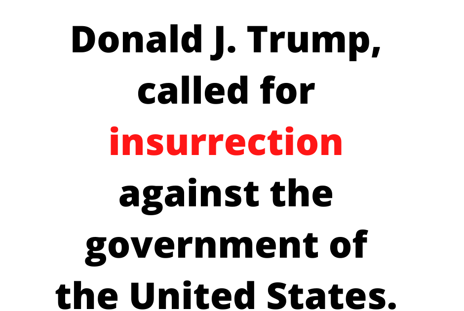 What is Insurrection?