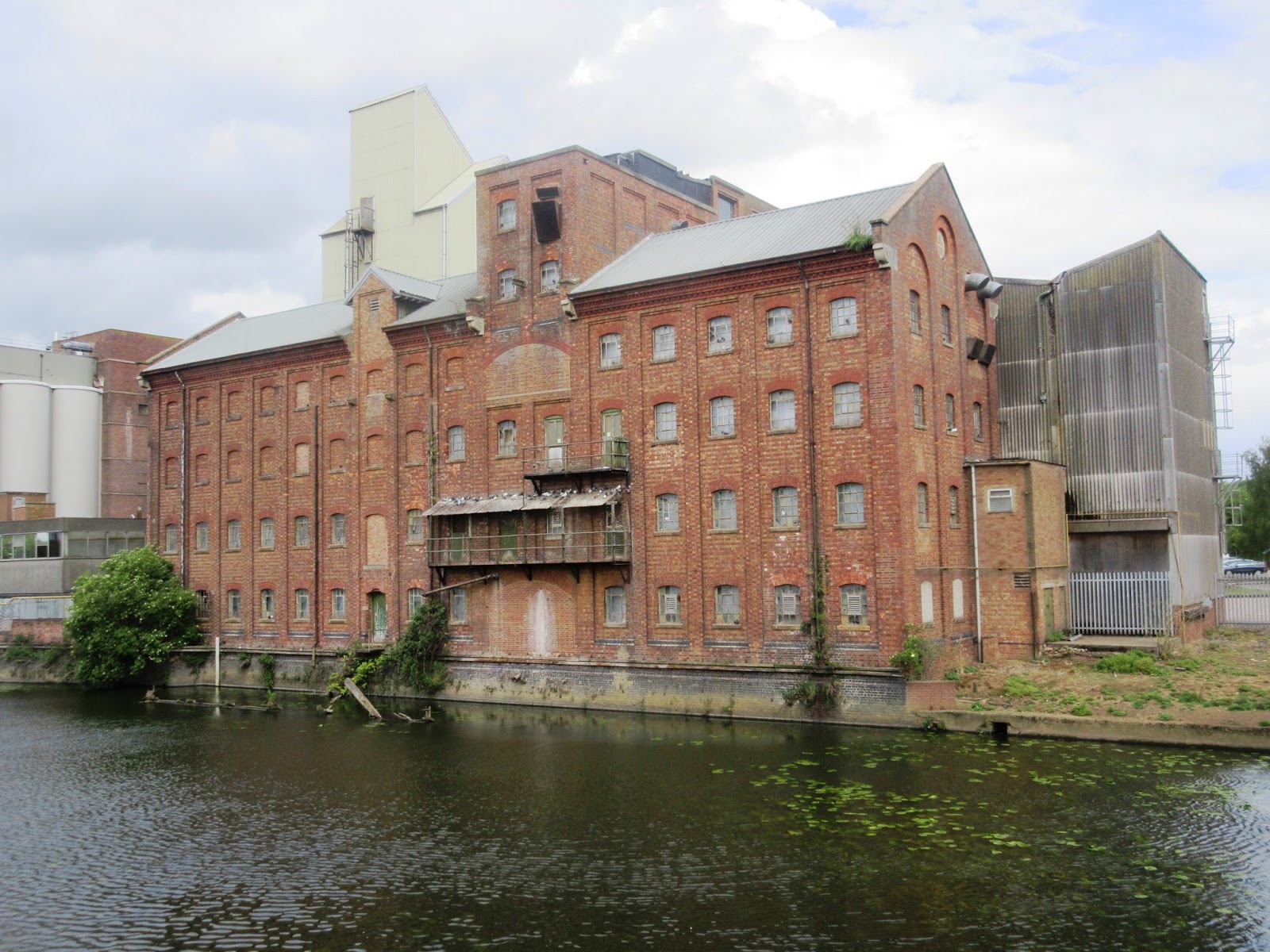 Liberal England Where the swans are tasty geezers Victoria Mills, Wellingborough