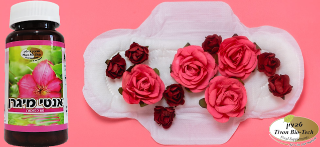 צום איזונית טבעון