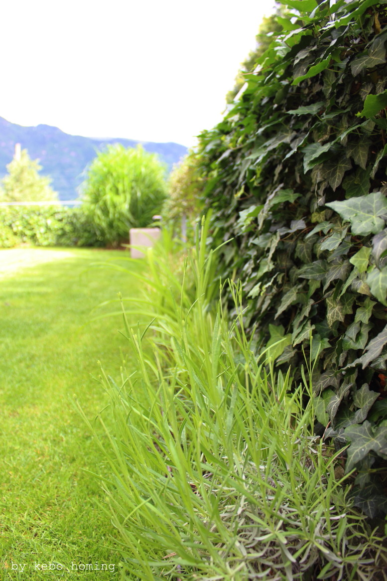 Kebo Homing Der Sudtiroler Food Und Lifestyleblog Typisch Fur