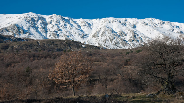 Monte Ocre, versante nord