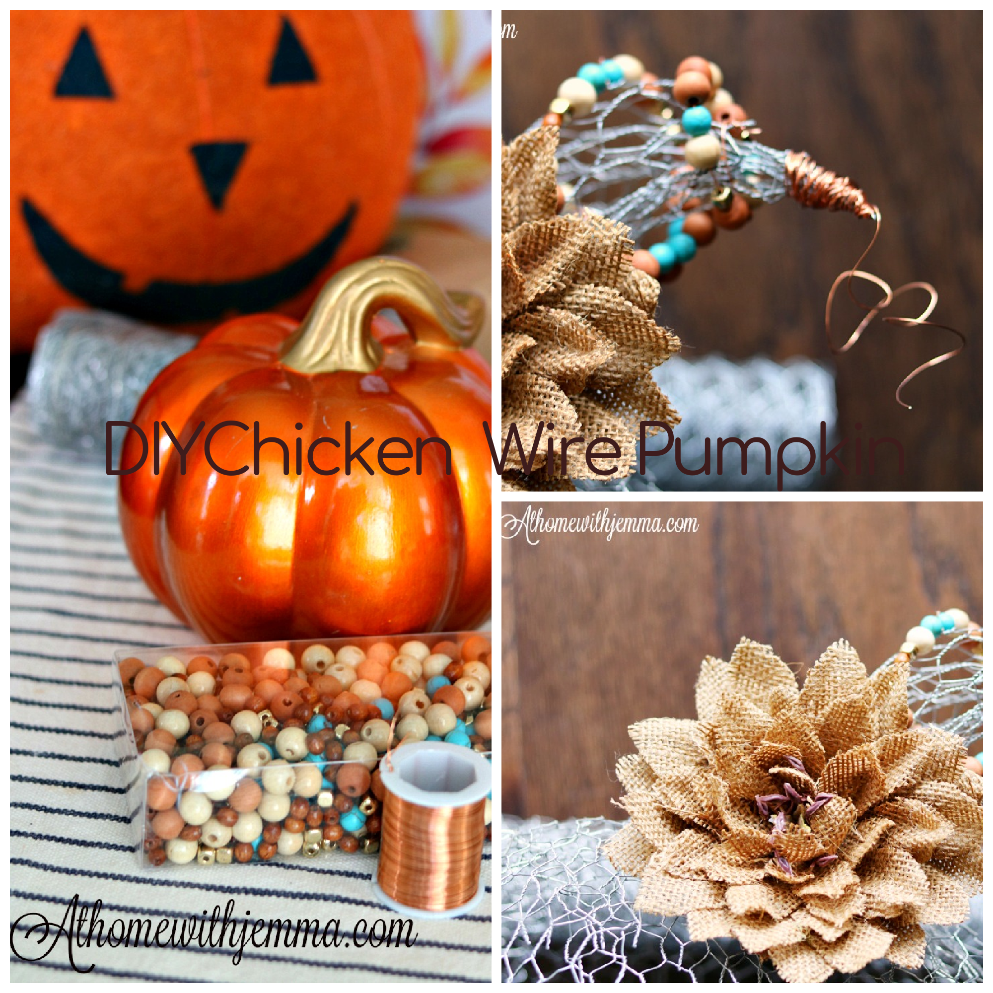 How To Make A Pumpkin Out Of Chicken Wire At Home with Jemma