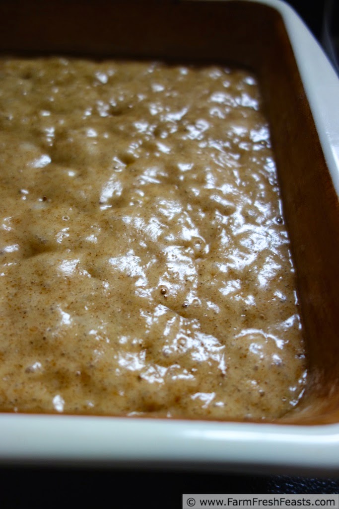 http://www.farmfreshfeasts.com/2014/09/pear-walnut-sourdough-coffee-cake.html