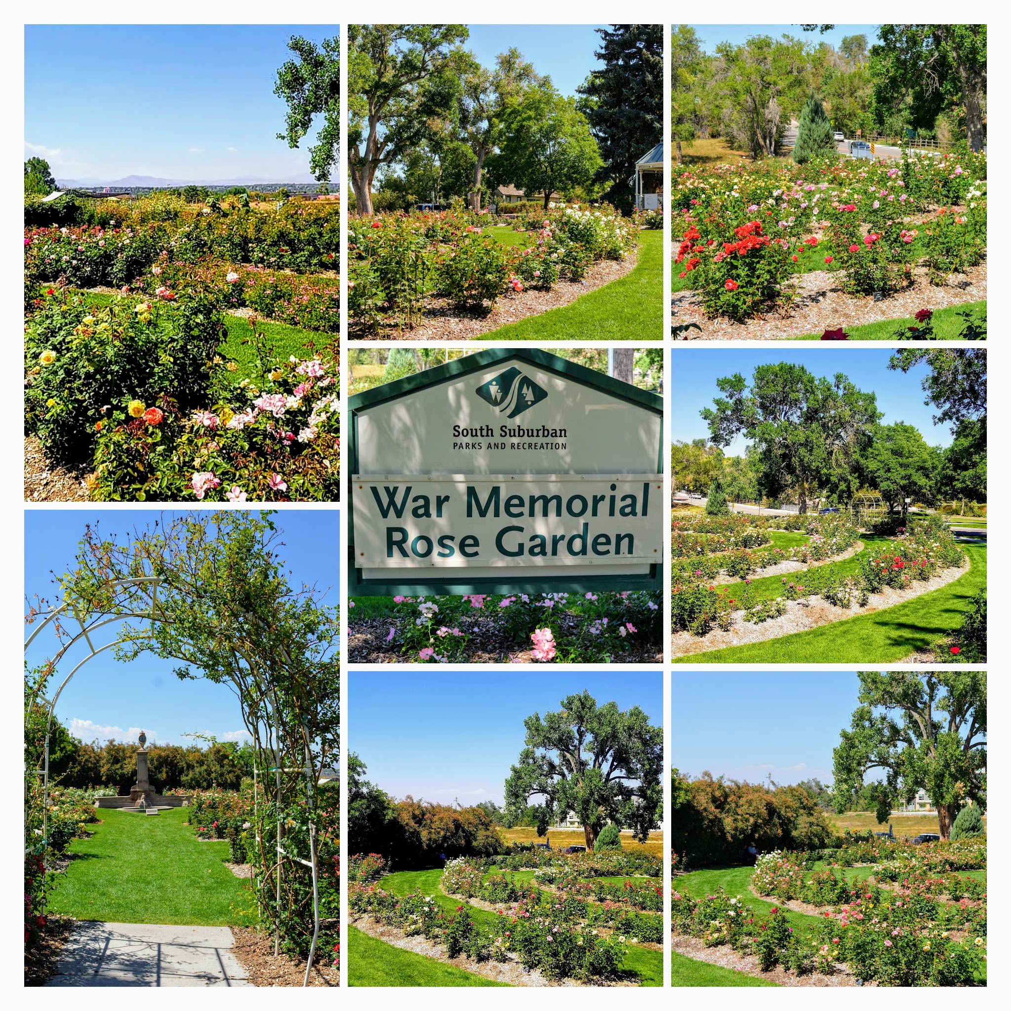 Mille Fiori Favoriti The War Memorial Rose Garden in Littleton, Colorado