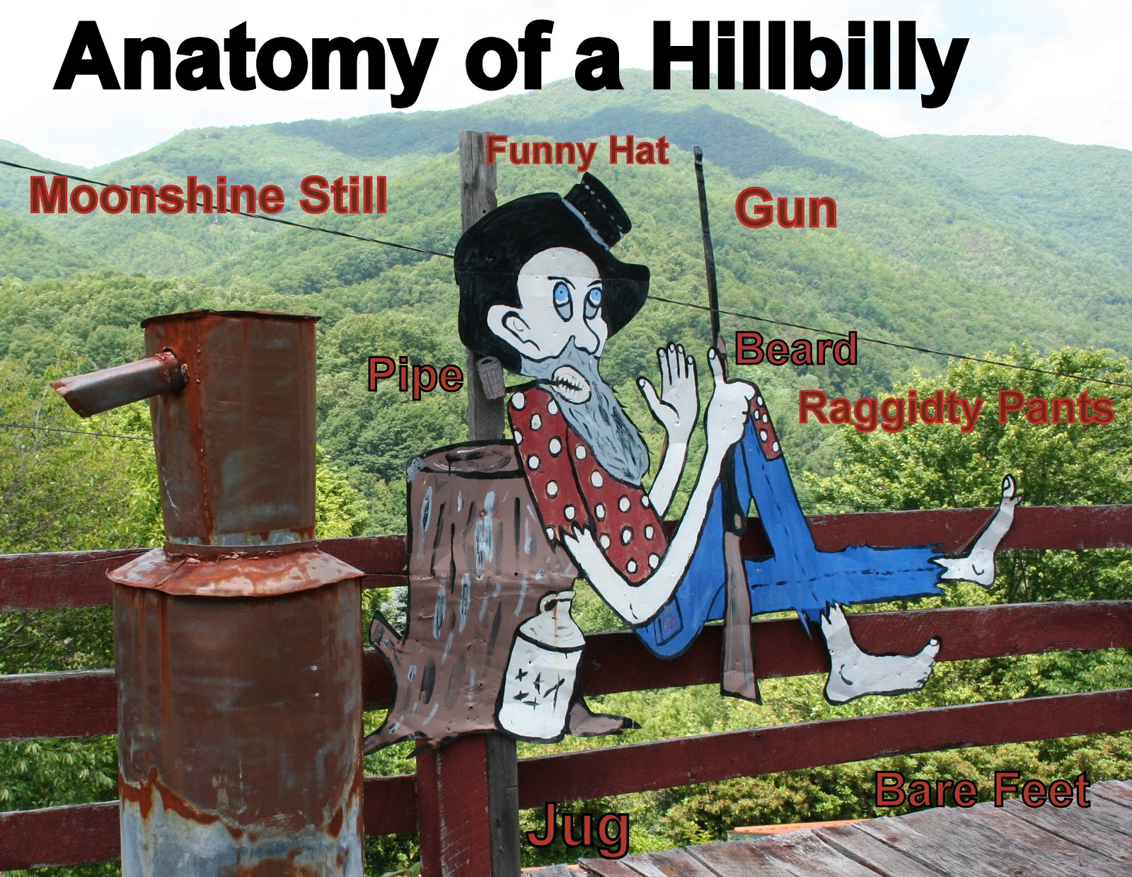 The Carpetbagger: The Hillbilly The Carpetbagger: The Hillbilly