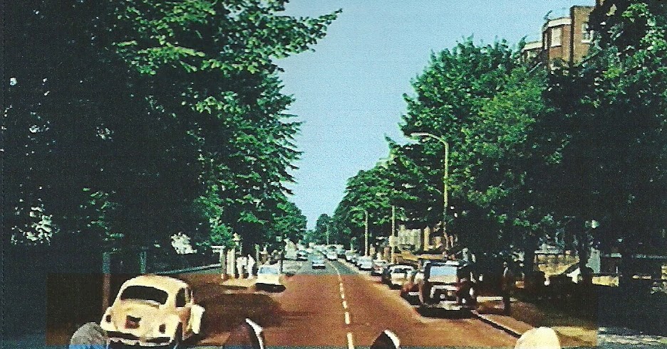 Say Define Say at Dictionarycom