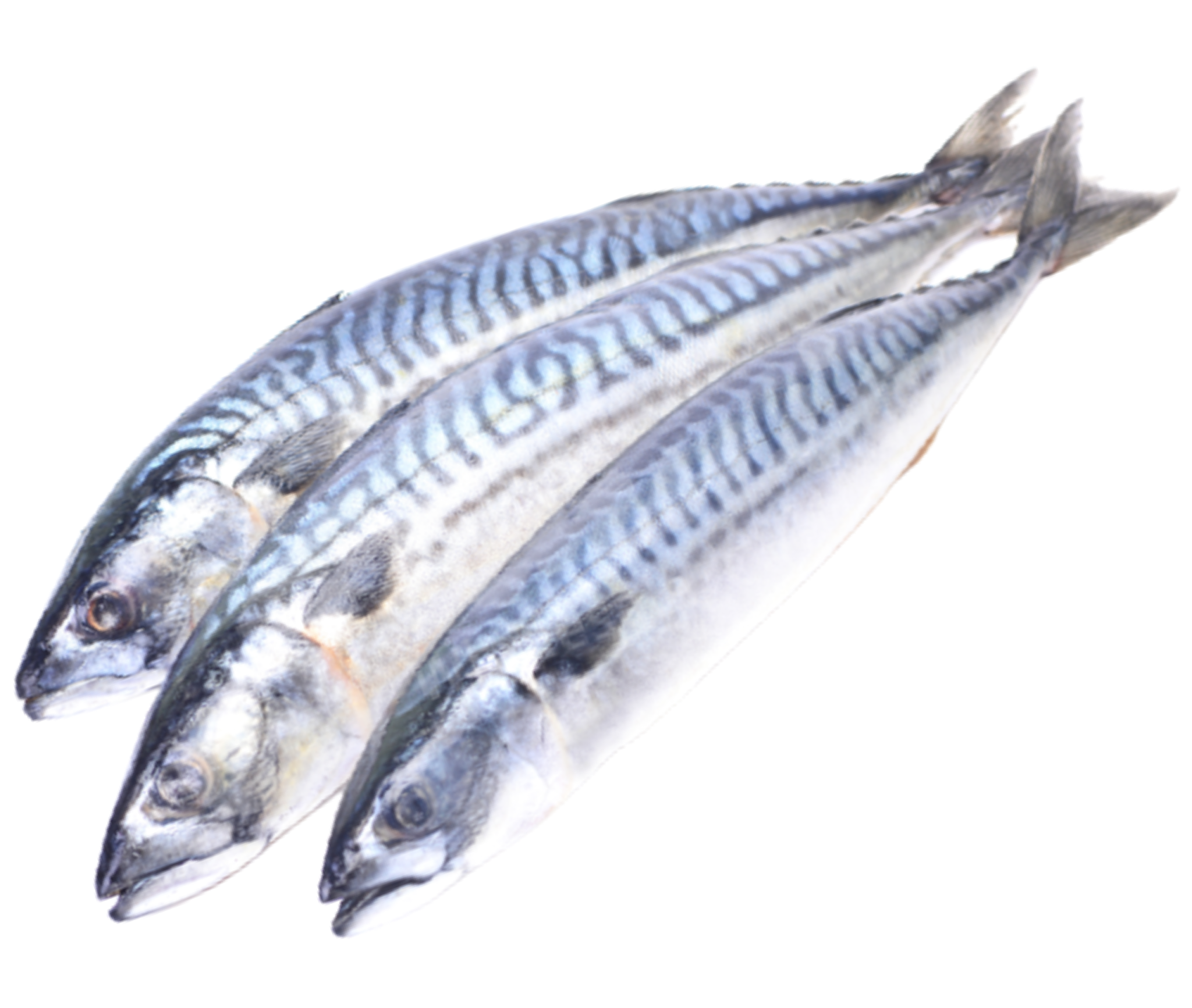 Nutritional Data at a Glance Seafood Hannah Ra