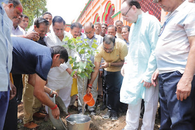 डीएम ने की वृक्षारोपण का शुभारंभ