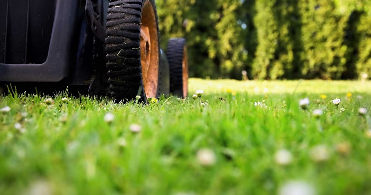 Cape Cod Yard Service 5 More Tips for Mowing Lawn Effectively (Part 2)