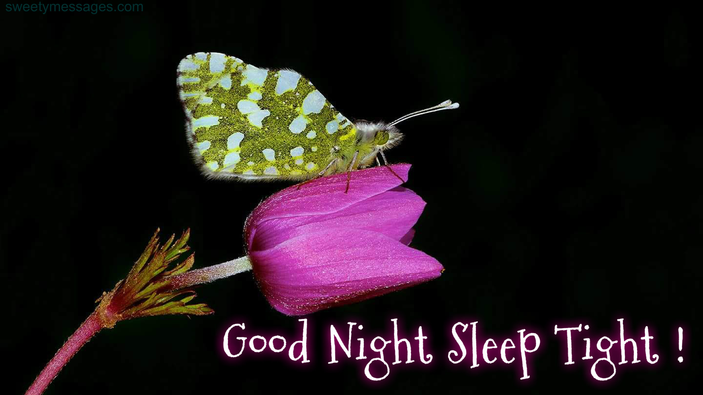 Good night sleep tight images photos cards.