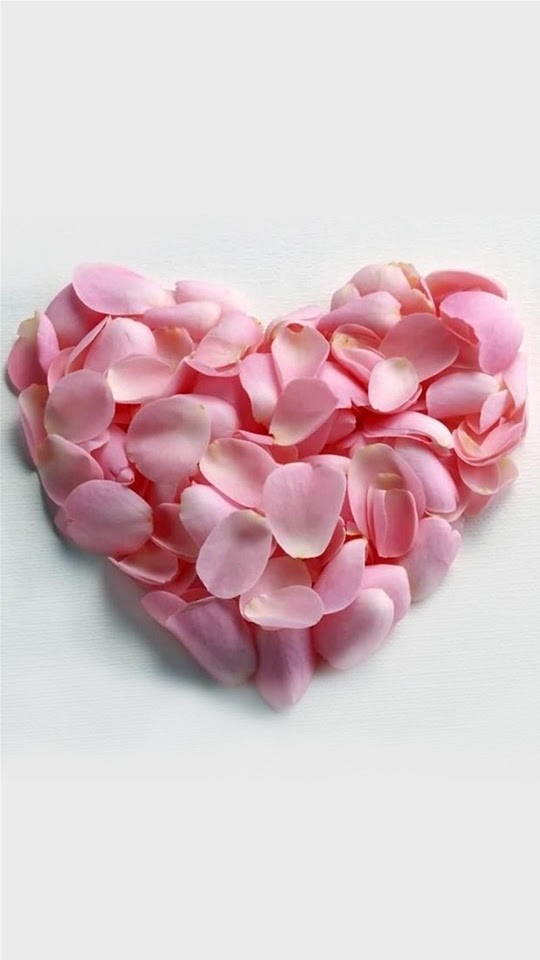 Pink Rose Petals Heart Shaped Valentines Day  Android Best Wallpaper