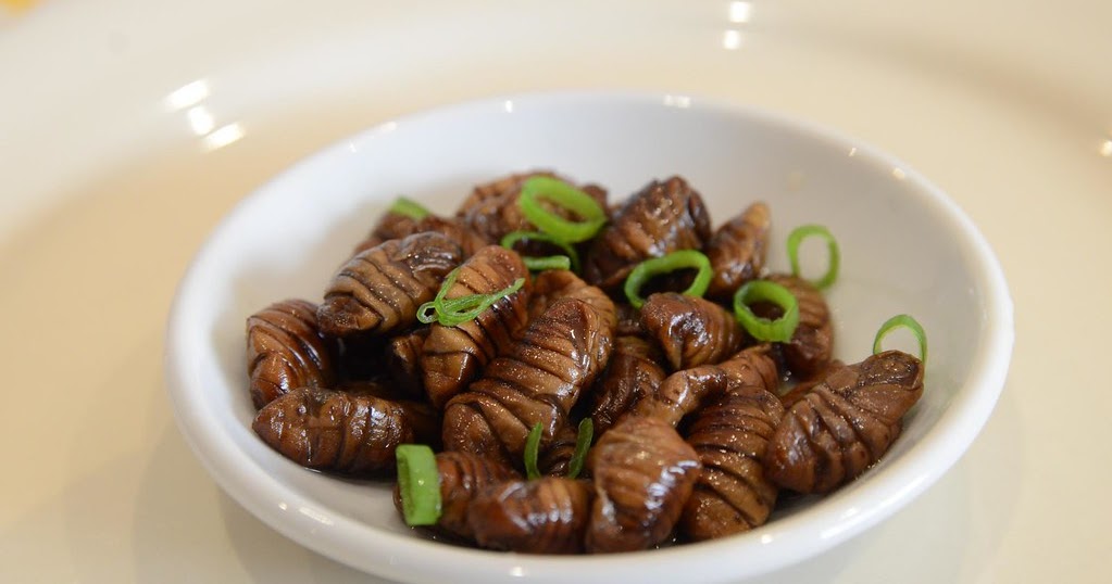 [Food] Beondegi (번데기, Silkworm Pupa) peacebreeze