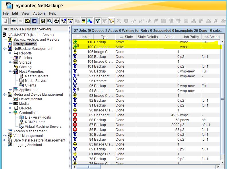 Veritas NetBackup - Step by Step Whitepaper for Configuring VMware ...