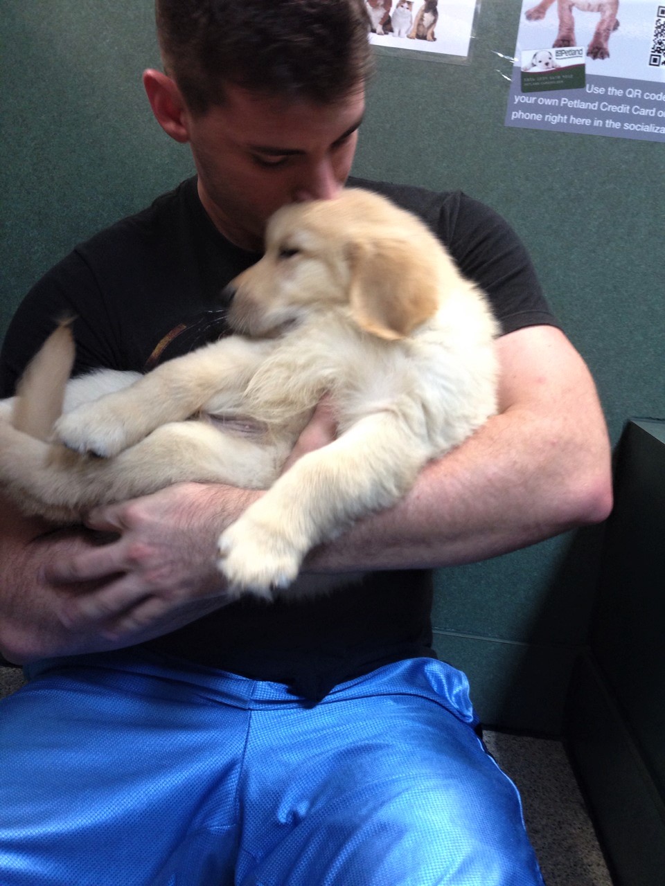 young-male-college-blue-baller-shorts-jock-hunk-kissing-cute-dog-puppy-vet-office