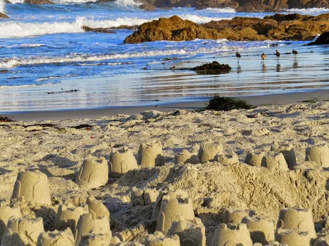 Things to do along the California Coast: Sand castles near Asilomar