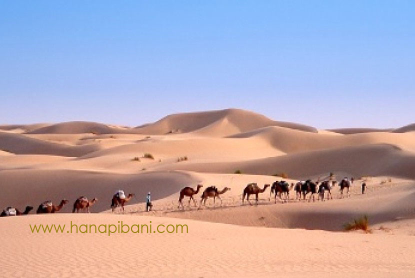 √ √ Materi Pembelajaran SKI Madrasah Ibtidaiyah (MI) - "Mengenal