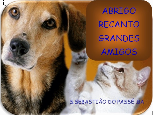 ABRIGO-RECANTO GRANDES AMIGOS S.SEBASTIÃO DO PASSÉ .BA