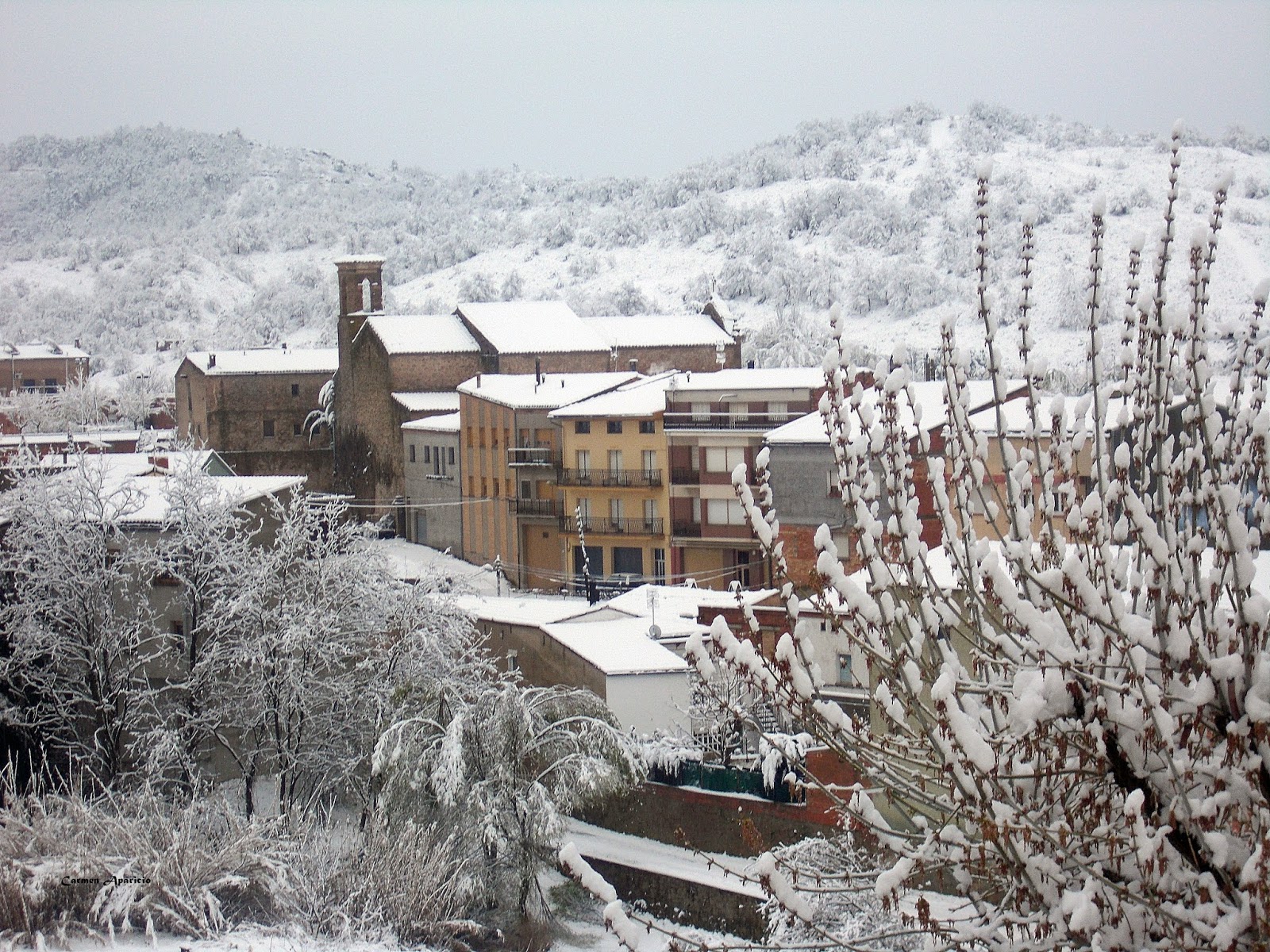 Mirando los detalles Nieve en primavera