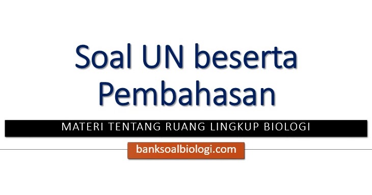 16++ Contoh soal dari materi ruang lingkup information