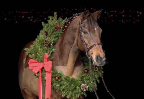 Buon Natale Horse.Festivita 2018 Tanti Auguri Di Buon Natale A Lettori E Sostenitori Forza Ippica Mondoturf