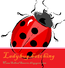 Ladybug hatching Series