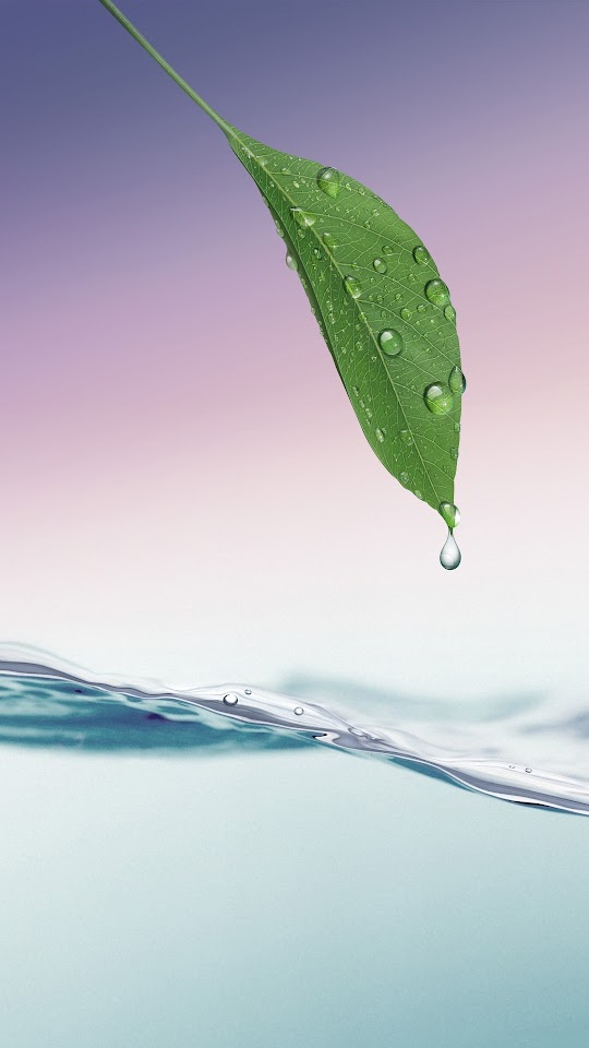 Green Leaf Dew HD Water Lockscreen  Galaxy Note HD Wallpaper