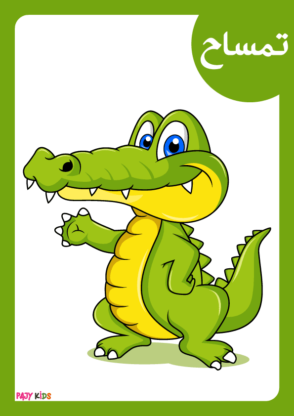 تعليم اسماء الحيوانات للاطفال بالعربية - تمساح