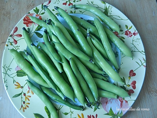 Habas recién cogidas del huerto