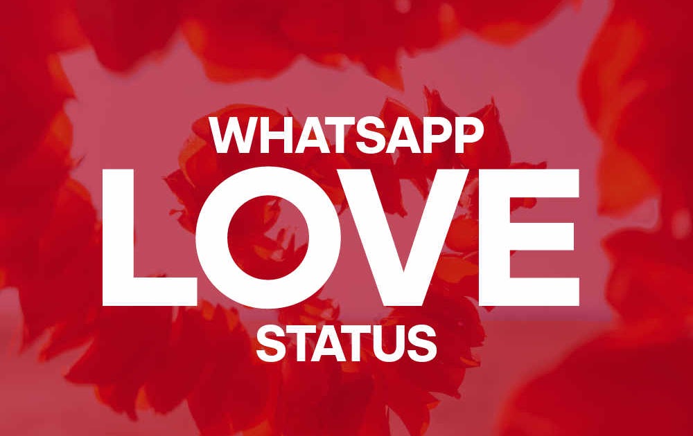 100+ Best WhatsApp Love Status, DP, Images, Quotes, Messages