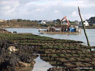 Oesterboot in Ria d'Etel