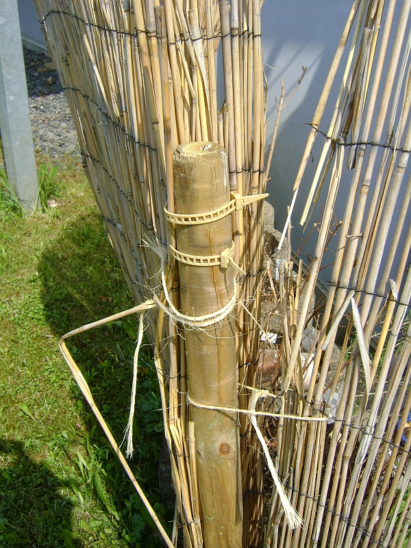 Terrassen- und Balkonbepflanzung: Sichtschutz 2.0