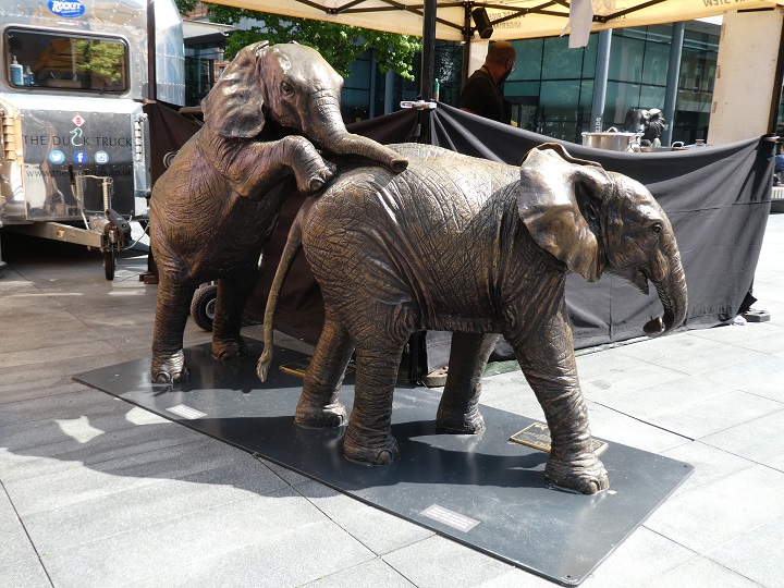 cavingliz noncave albums Elephants in Spitalfields, London