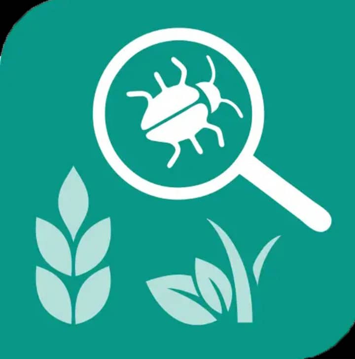 ташкент агробаза. ташкент агробаза. агробаза. агробаза манзили. 05.