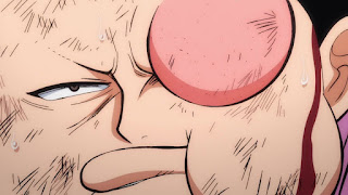 ワンピースアニメ 991話 ワノ国編 | ONE PIECE モモの助