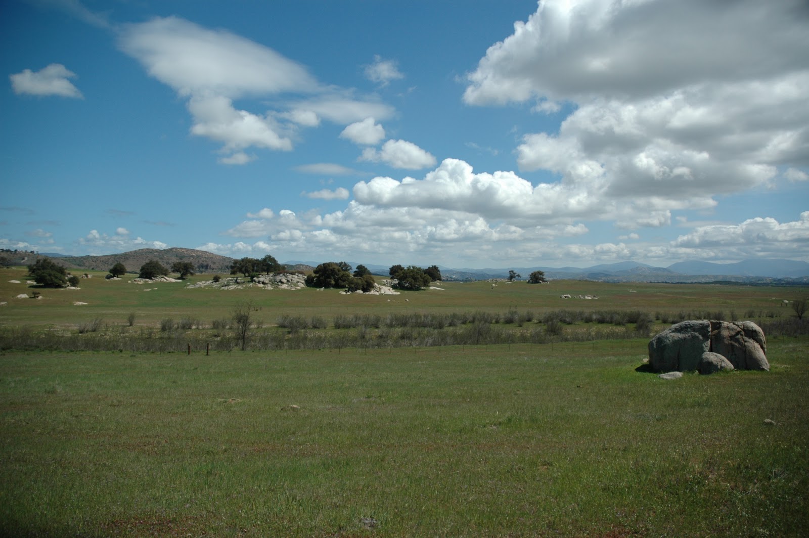 Ramona visual data 3