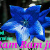 Top 10 Ram Ram Ji Images greeting Pictures,Photos for Whatsapp