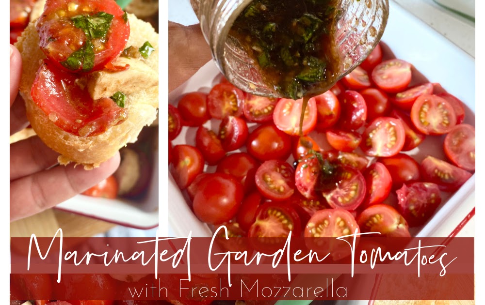 Marinated Garden Tomatoes with Fresh Mozzarella Ally's Sweet & Savory