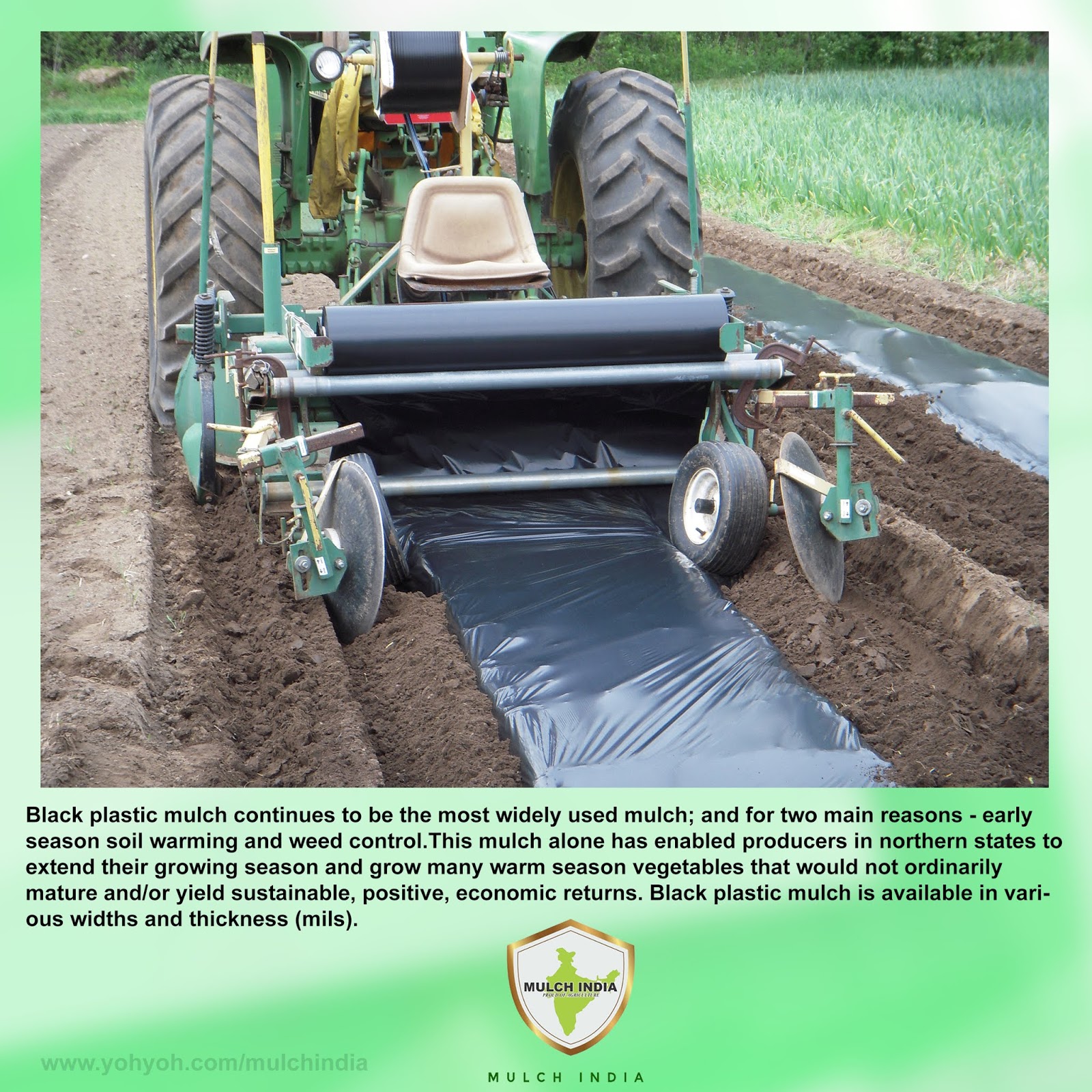 MulchIndia Black Plastic Mulch Mulch India